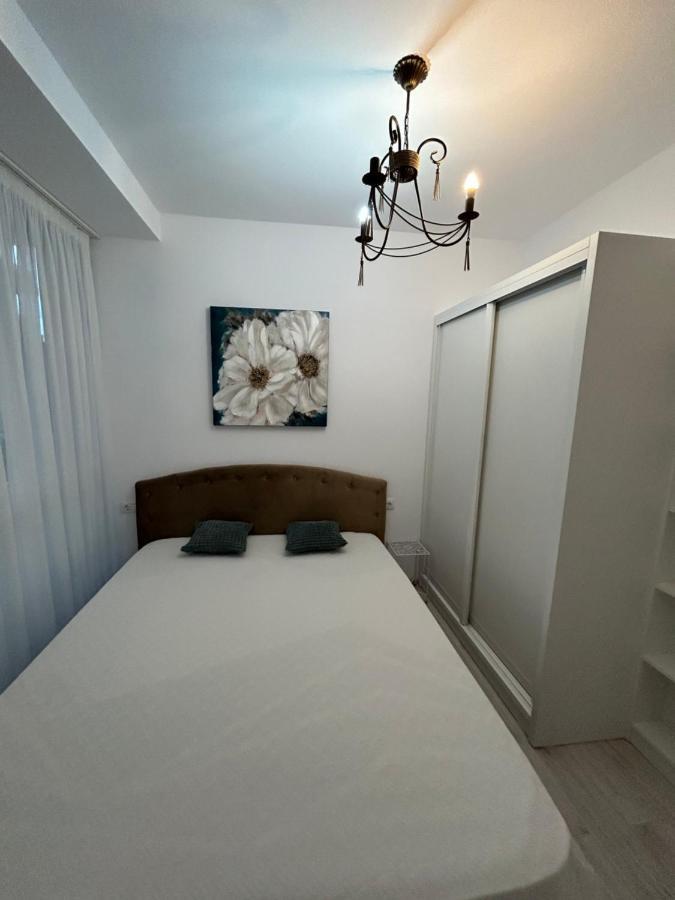 Studio Floreasca Residence 布加勒斯特 外观 照片
