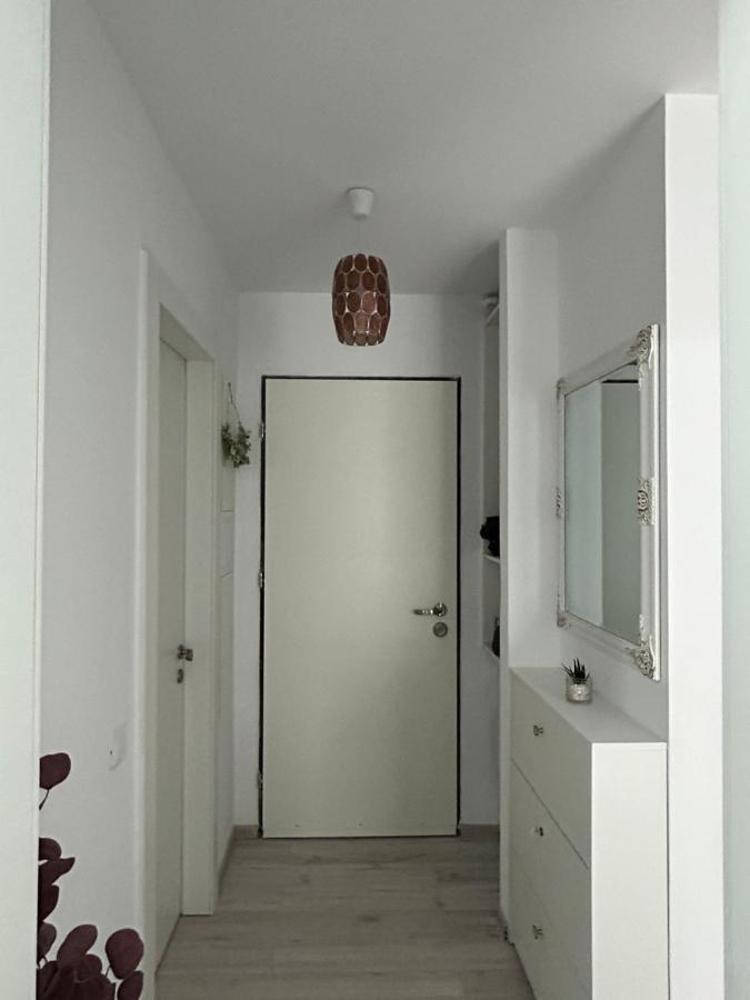 Studio Floreasca Residence 布加勒斯特 外观 照片